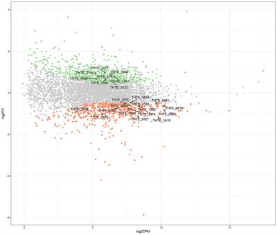 Sugar Metabolism of the First Thermophilic Planctomycete Thermogutta terrifontis: Comparative Genomic and Transcriptomic Approaches